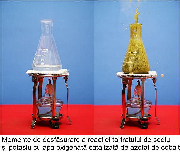 Modul sticlarie pentru profesor - liceu - chimie anorganica [2]