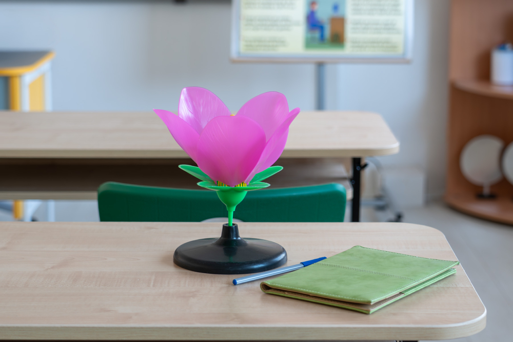 Model botanic floare de cireș sălbatic – material didactic [3]