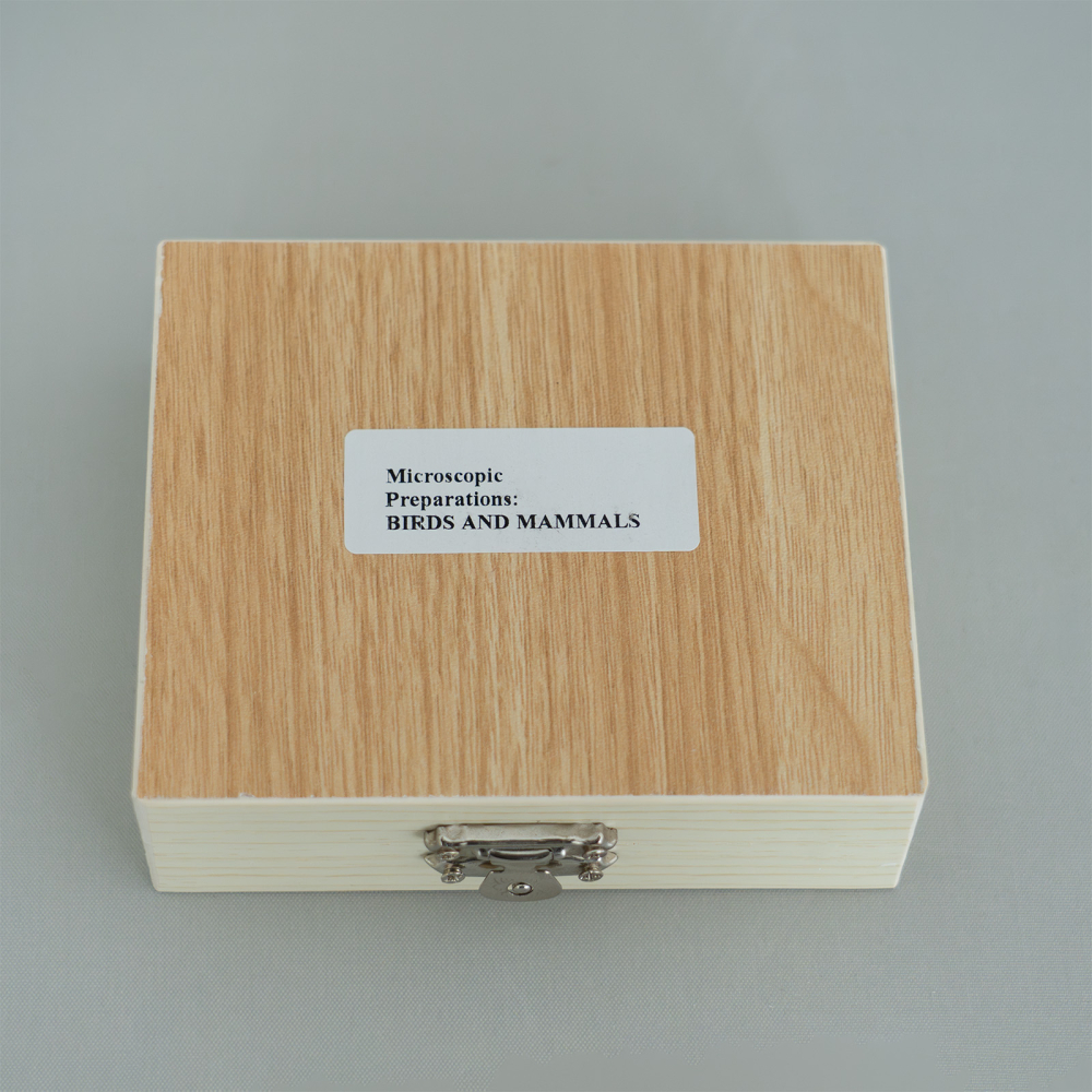 Păsări și mamifere – set de 10 preparate microscopice [2]