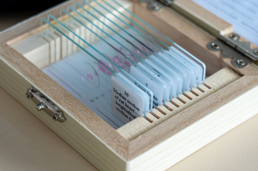 Păsări și mamifere – set de 10 preparate microscopice [4]