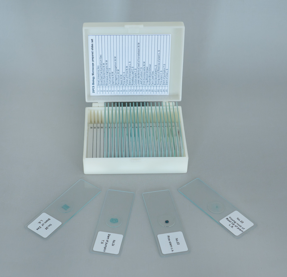 Preparate microscopice mixte – set 25 lame [2]