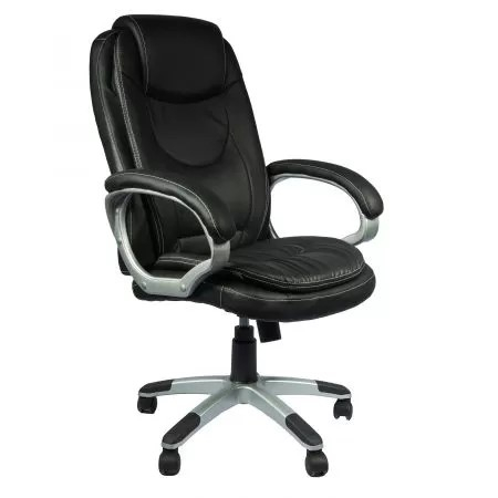 Scaun ASCOT [2]