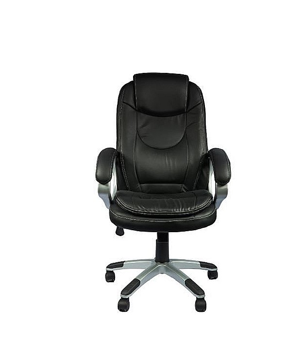 Scaun ASCOT [3]