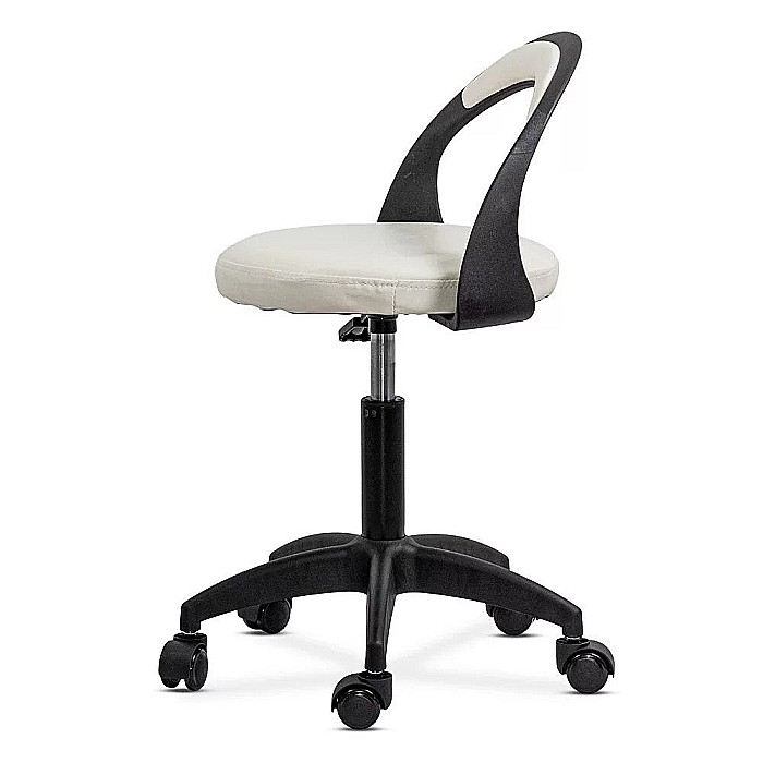 Scaun  de laborator Delix [3]