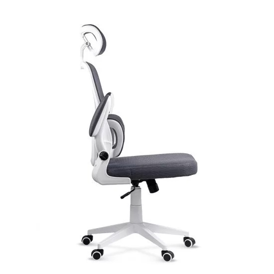 Scaun Sterian [11]