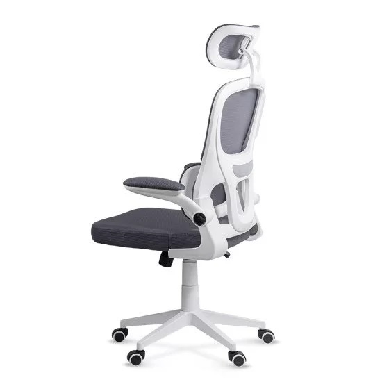 Scaun Sterian [12]