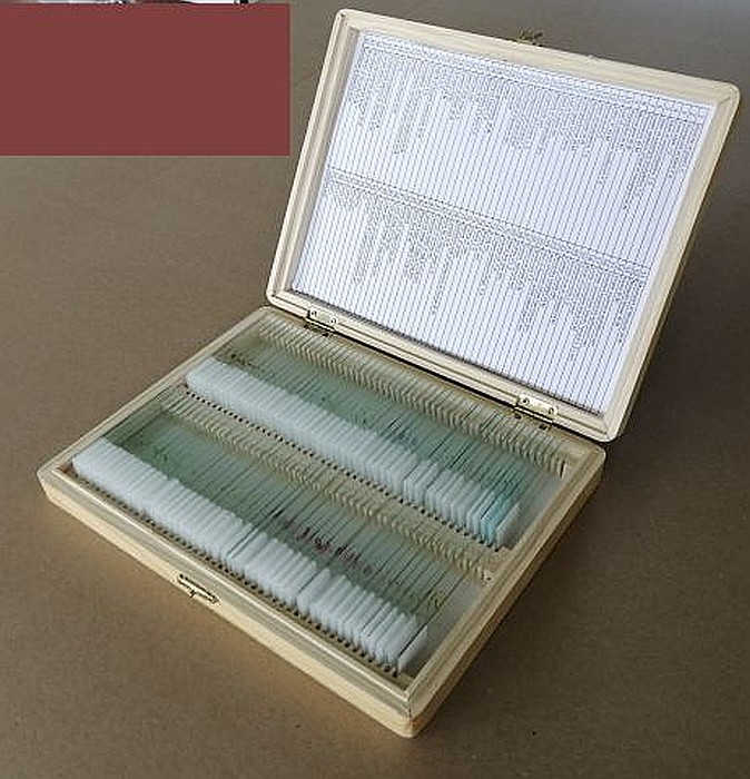 Set de 100 de preparate microscopice [9]