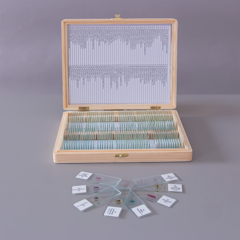 Set de 100 de preparate microscopice [3]