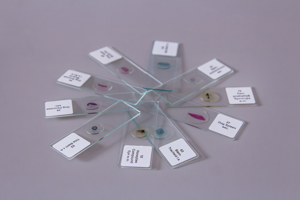 Set de 100 de preparate microscopice [6]