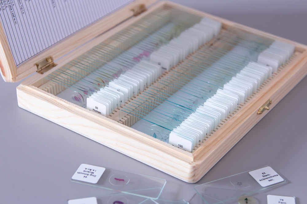 Set de 100 de preparate microscopice [5]