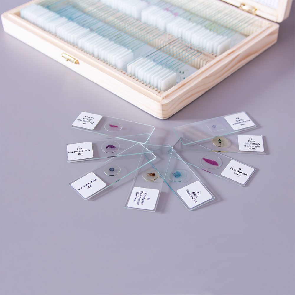 Set de 100 de preparate microscopice [4]