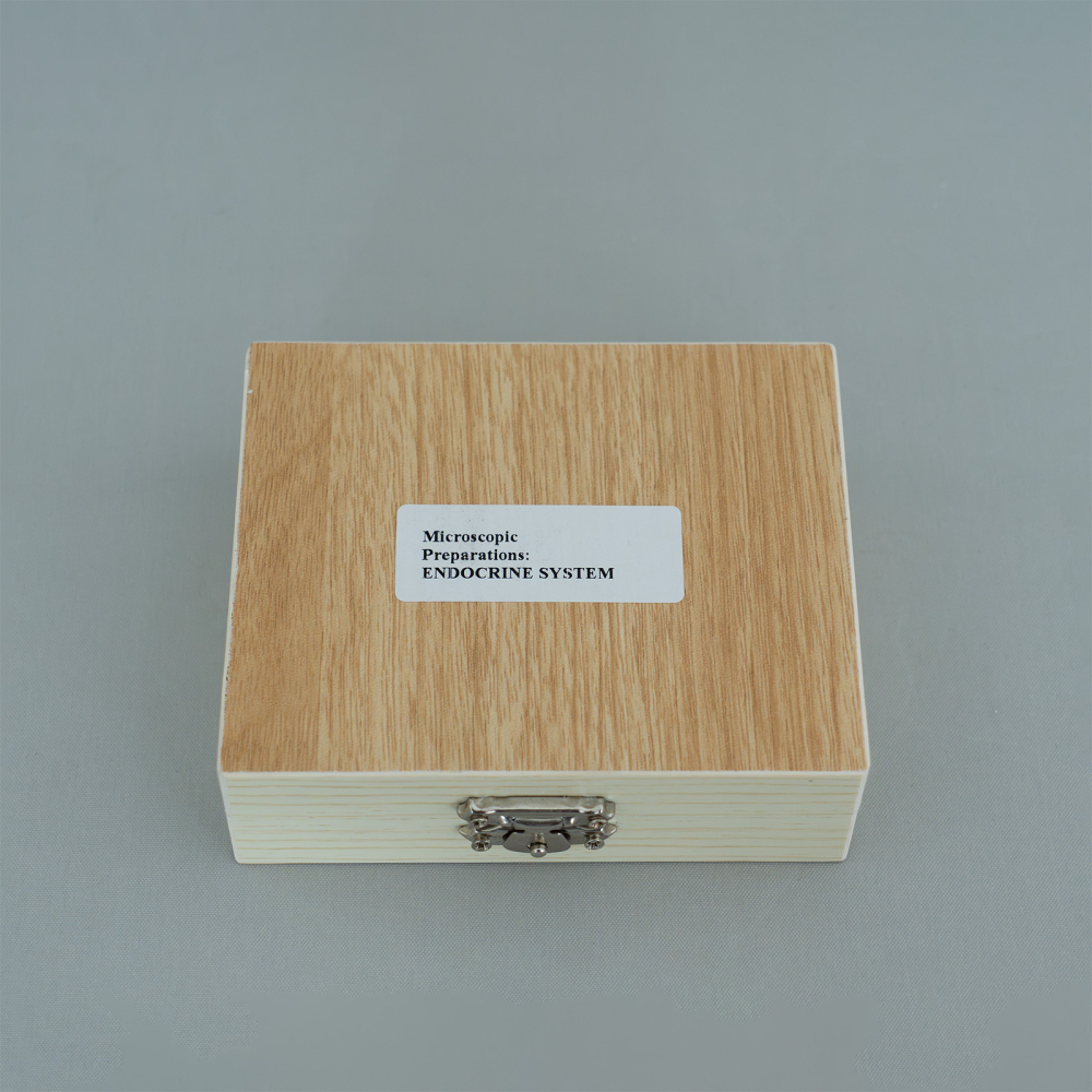 Sistemul endocrin – set de 10 preparate microscopice [2]