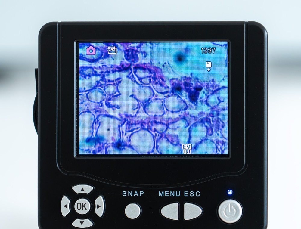 Sistemul genital – set de 10 preparate microscopice [4]
