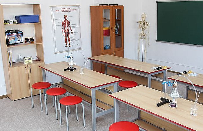 Sistemul muscular vedere posterioara [2]