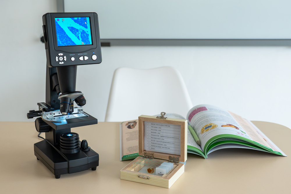 Sistemul nervos – set 10 preparate microscopice [4]