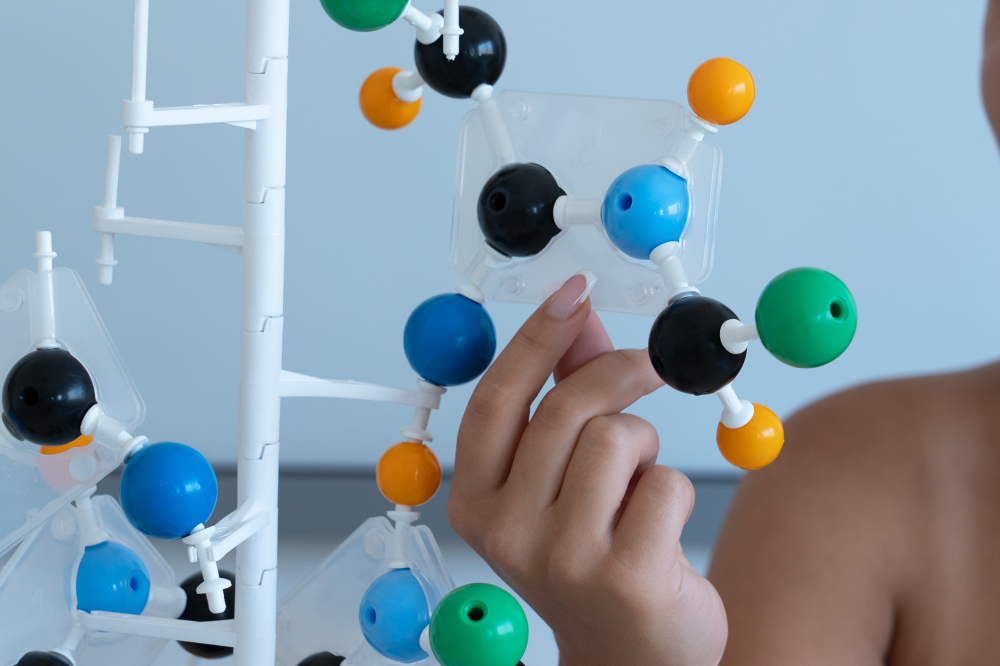 Model structură secundară a proteinei – model molecular [2]