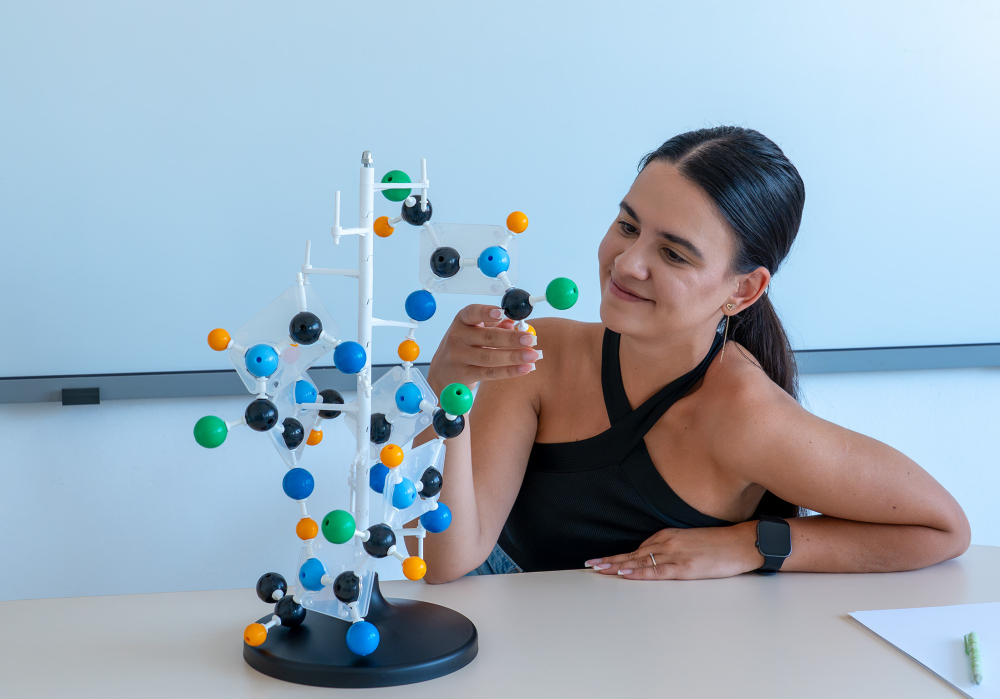 Model structură secundară a proteinei – model molecular [3]
