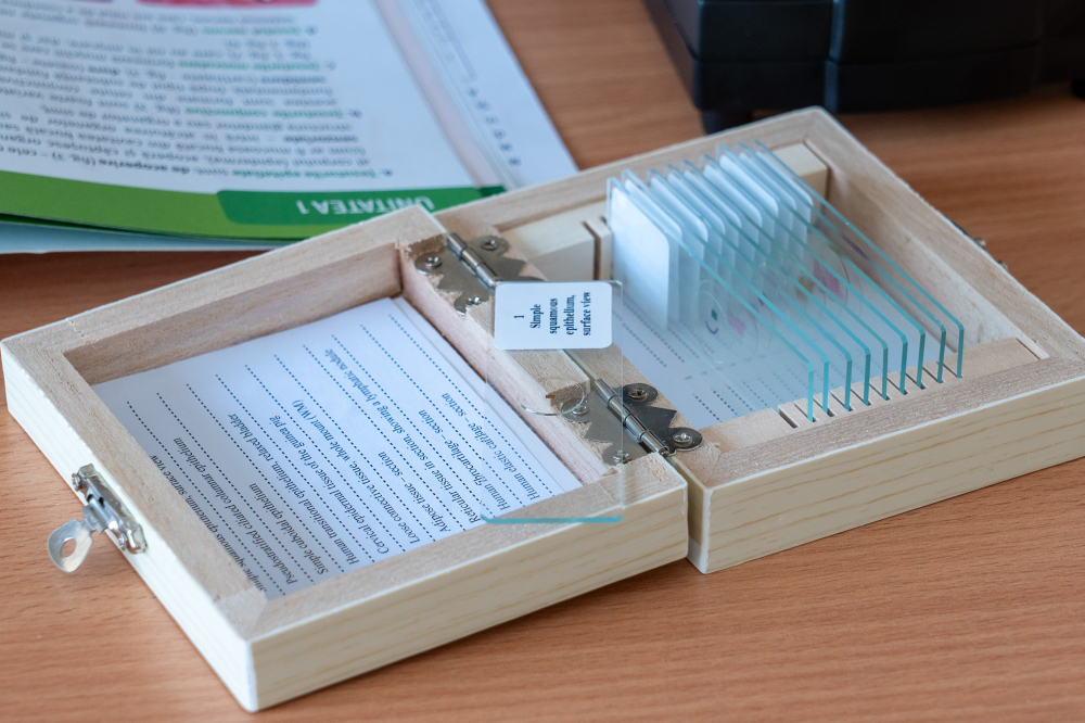 Țesuturi – set 10 preparate microscopice [5]