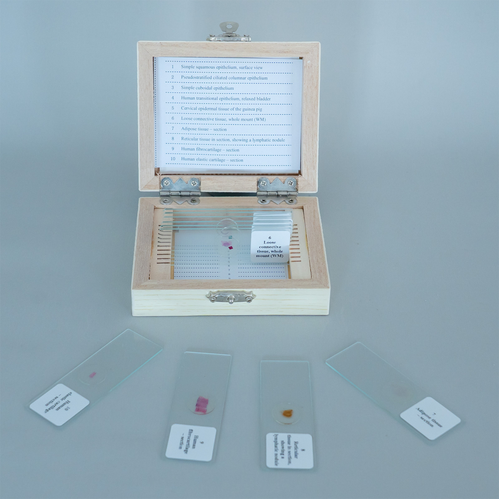 Țesuturi – set 10 preparate microscopice [3]