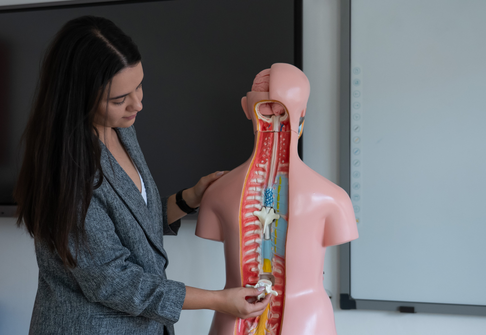Tors uman anatomic de 85 cm, cu 40 de părți detașabile [5]