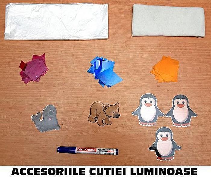 TRUSA DE ACCESORII PENTRU CUTIA LUMINOASA [2]