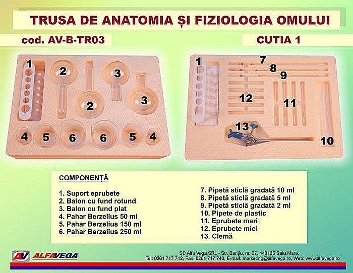 Trusa de anatomia si fiziologia omului [10]