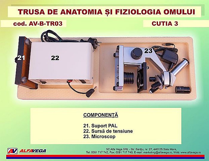 Trusa de anatomia si fiziologia omului [11]