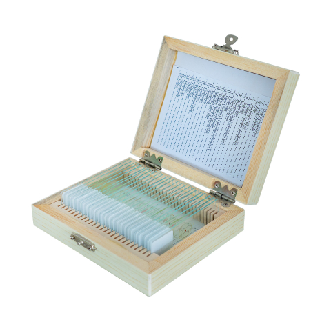 SETURI PREPARATE MICROSCOPICE - Alge – set 25 preparate microscopice