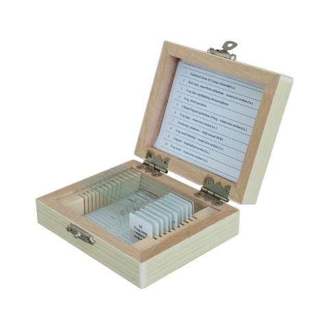 SECTIUNI MICROSCOPICE - SETURI - Amphibia - set de 10 secțiuni microscopice