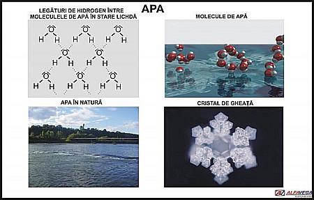 PLANȘE - Apa