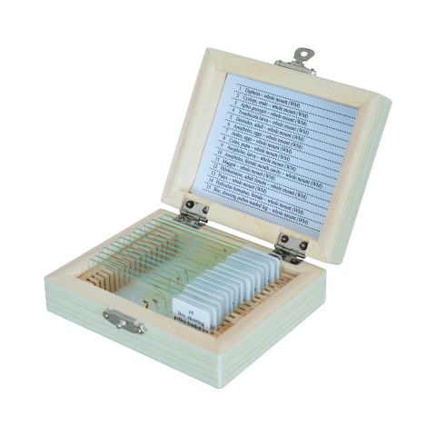 SECTIUNI MICROSCOPICE - SETURI - Arthropoda – set 15 preparate microscopice pe lame