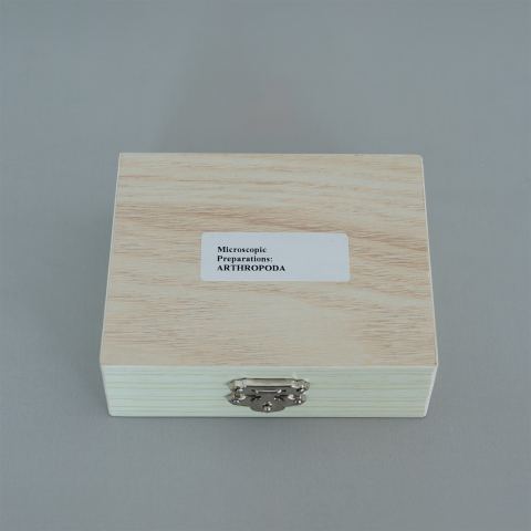 Arthropoda – set 15 preparate microscopice pe lame [1]