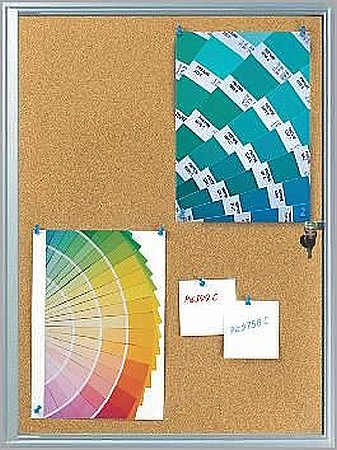 TABLE SCOLARE - AVIZIERE - avizier-cu-pluta-de-interior