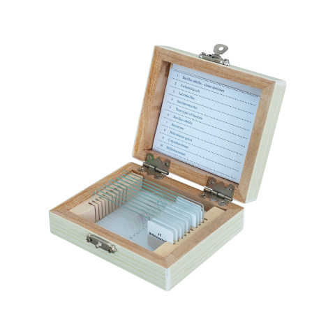 SECTIUNI MICROSCOPICE - SETURI - Bacili – set 10 preparate microscopice