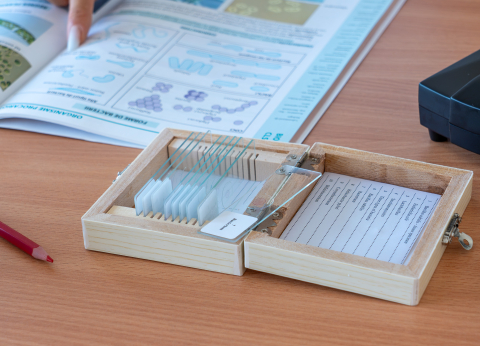 Bacili – set 10 preparate microscopice [3]