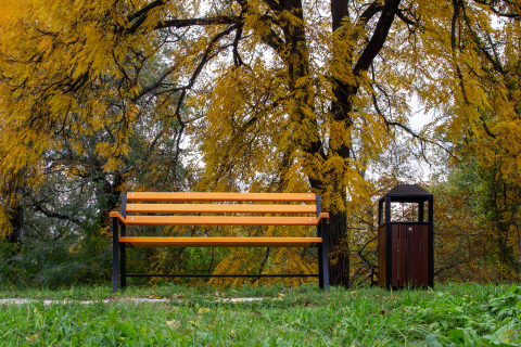 Coș gunoi exterior MAGNOLIA | Metal și WPC, cu recipient interior [4]