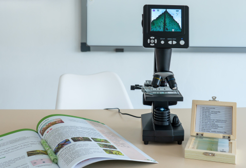 Bryophyta – set 15 preparate microscopice [3]