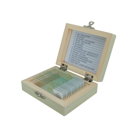 Bryophyta – set 15 preparate microscopice [0]