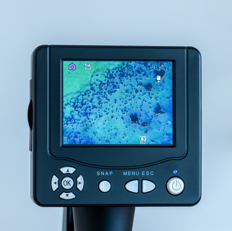 Coci – set 10 preparate microscopice [3]