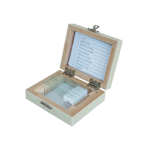 SECTIUNI MICROSCOPICE - SETURI - Coci – set 10 preparate microscopice