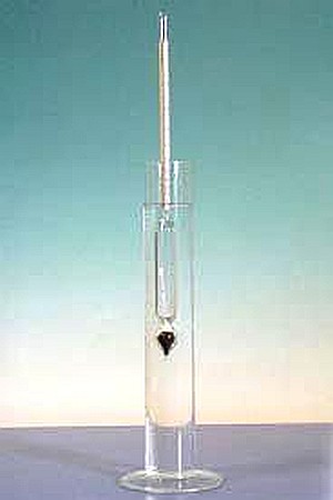 STATICA FLUIDELOR - Densimetre (set de 2 buc)