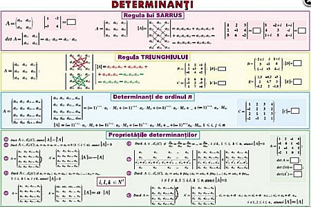 PLANSE MATEMATICA - Determinanti / Functia putere (duo)