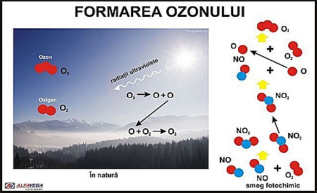 PLANSE ECOLOGIE - Formarea ozonului
