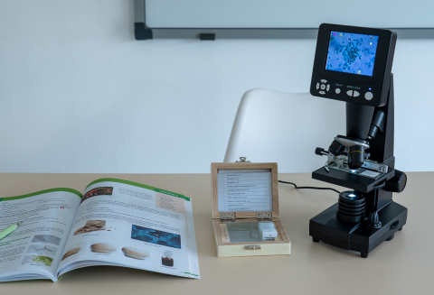 Fungi – set de 10 preparate microscopice [3]