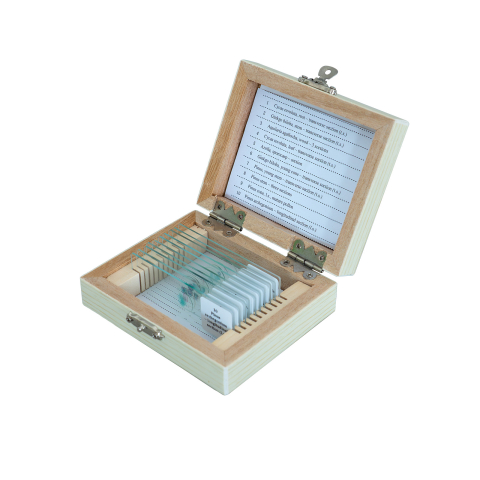 SECTIUNI MICROSCOPICE - SETURI - Gimnosperme – set 10 preparate microscopice