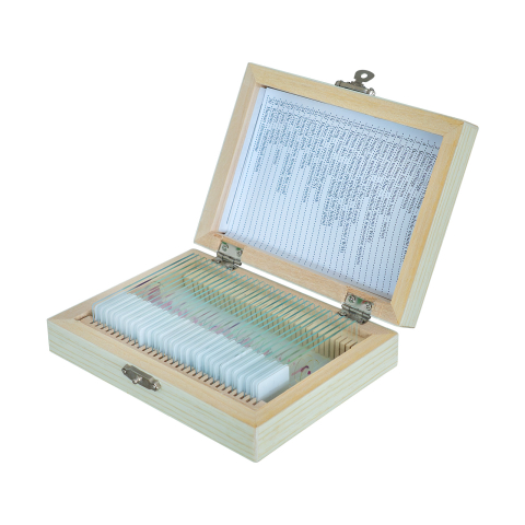 ANATOMIE - Histologie – set 30 preparate microscopice pe lame