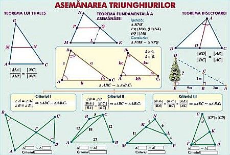 Inecuatii cu o necunoscuta / Asemanarea triunghiurilor (duo) [1]