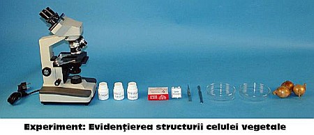 KIT 1. Ustensile de laborator de citologie, histologie, morfologie si anatomie vegetala [7]