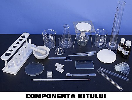 KIT 2. Frunza. Fotosinteza [6]