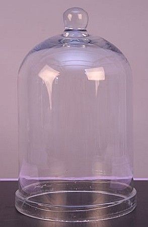 KIT 3. Trusa de ustensile fiziologia plantelor (Minim) [10]